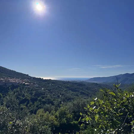 La Casa Negli Ulivi - Con Vista Mare